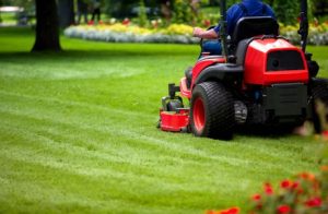 Grounds & Landscape Maintenance throughout Doncaster, Barnsley, Rotherham, Sheffield and Yorkshire